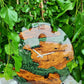 Metallic Color Epoxy & Olive Wood Wall Clock